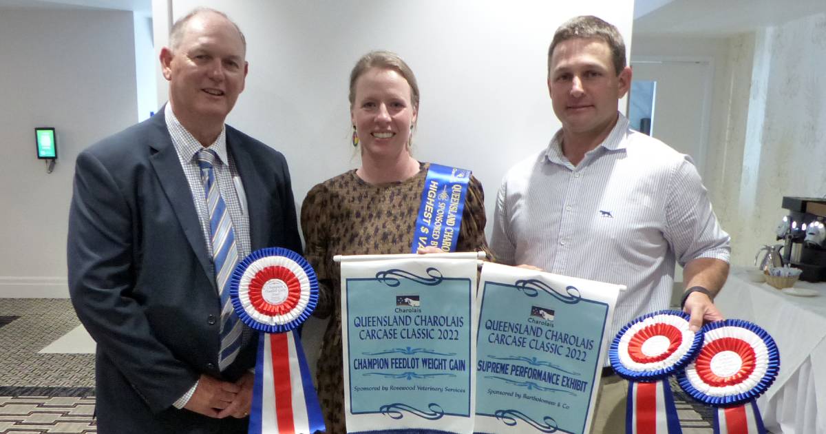 Palgrove caps of stellar year with Charolais carcase victory