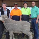 First calf heifers to $2625 at Laidley