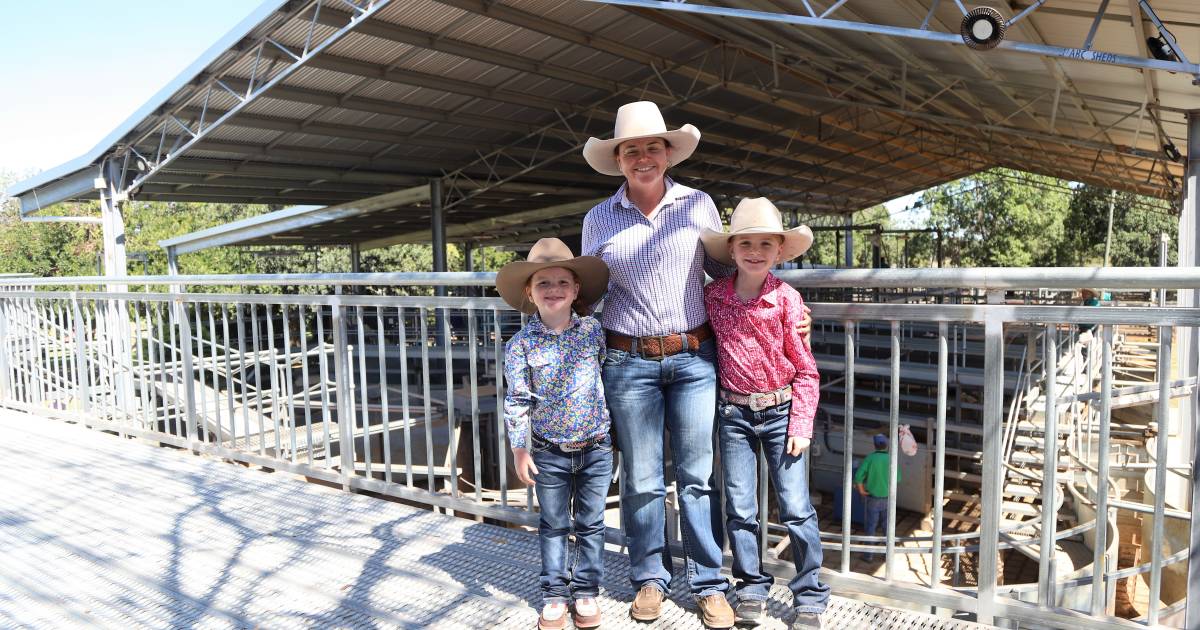 Furious bidding boosts prices 10-30 cents at Blackall weaner sale | Queensland Country Life