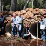 Season creates 'perfect storm' conditions for worms and flies in sheep flocks