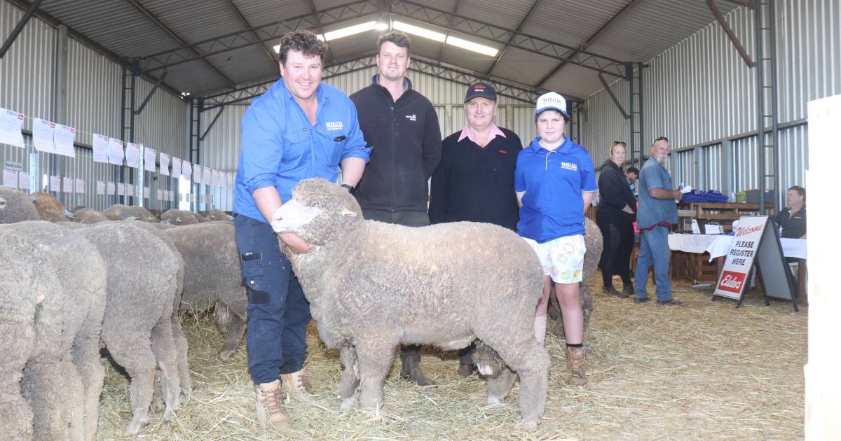 Deep-bodied Warralea ram tops at $6000