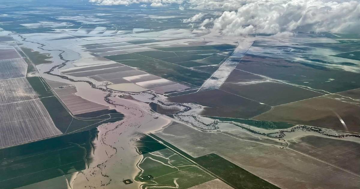 Parts of Moree evacuated due to flooding with higher peak expected