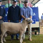 Breed accolade for red Brahman stalwart