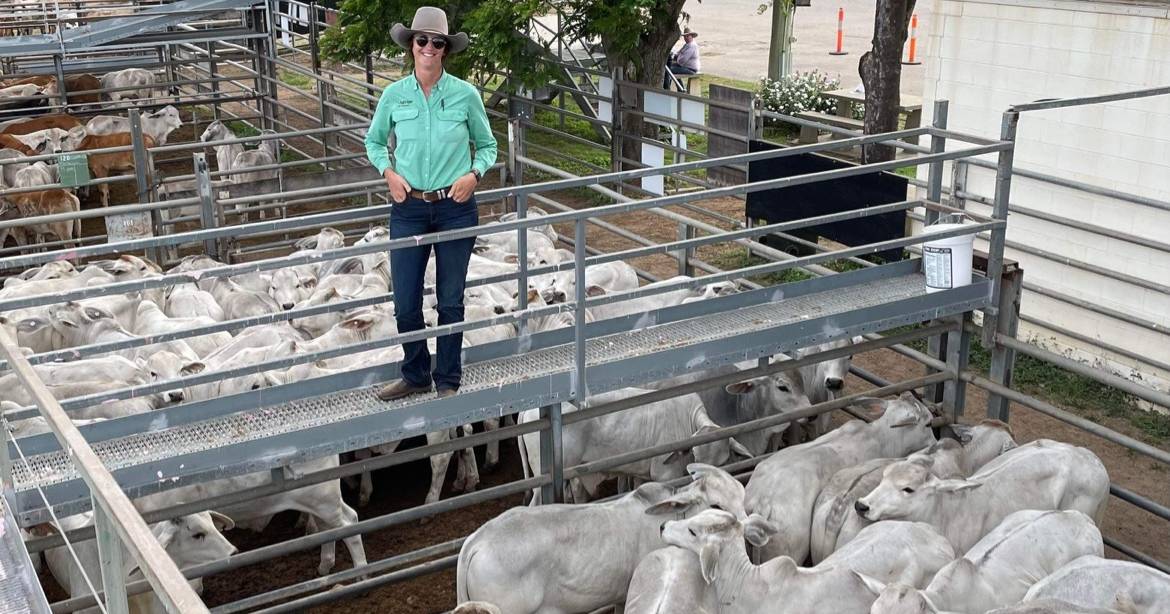 Quality lines offloaded at Charters Towers store sale