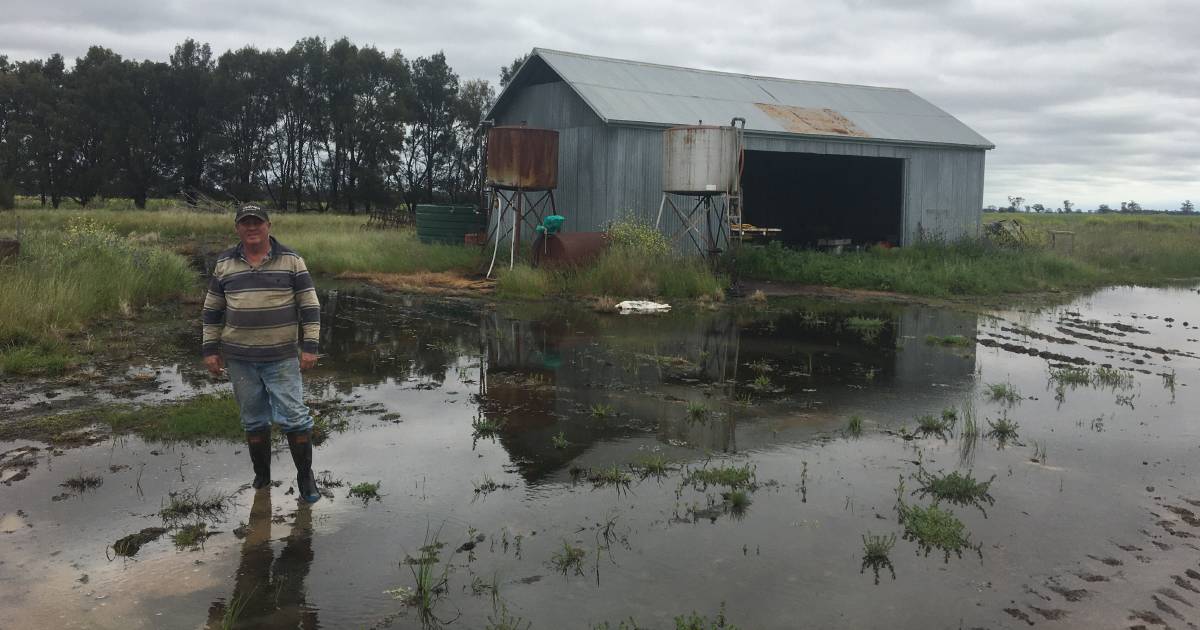 'Pretty vicious': Farmers describe situation in flood disaster zone