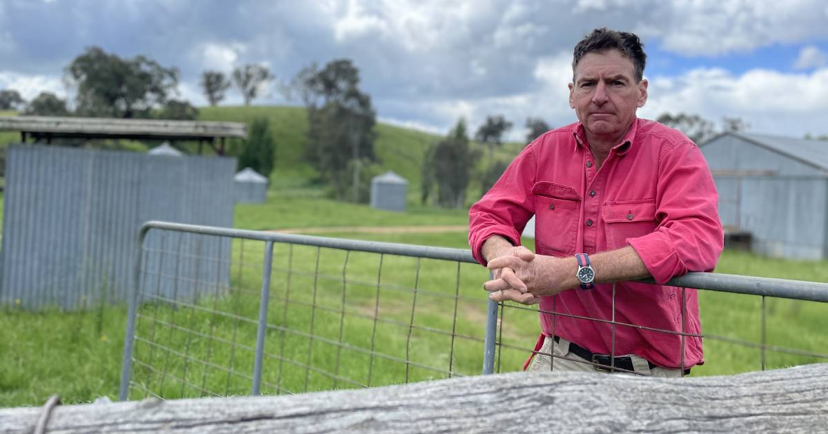 Riverina farmers, landowners unswayed by bumper power line payouts