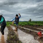 Elders to move it WA wool business headquarters, show floor and woolstores from Bibra Lake to East Rockingham | Farm Weekly