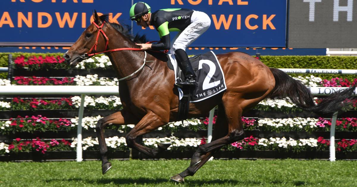 Melbourne Cup 2022 in sight