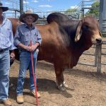 Four officers join Mount Isa Police