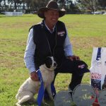 NSW farmers warned of possible lamb, sheep losses as weather event continues