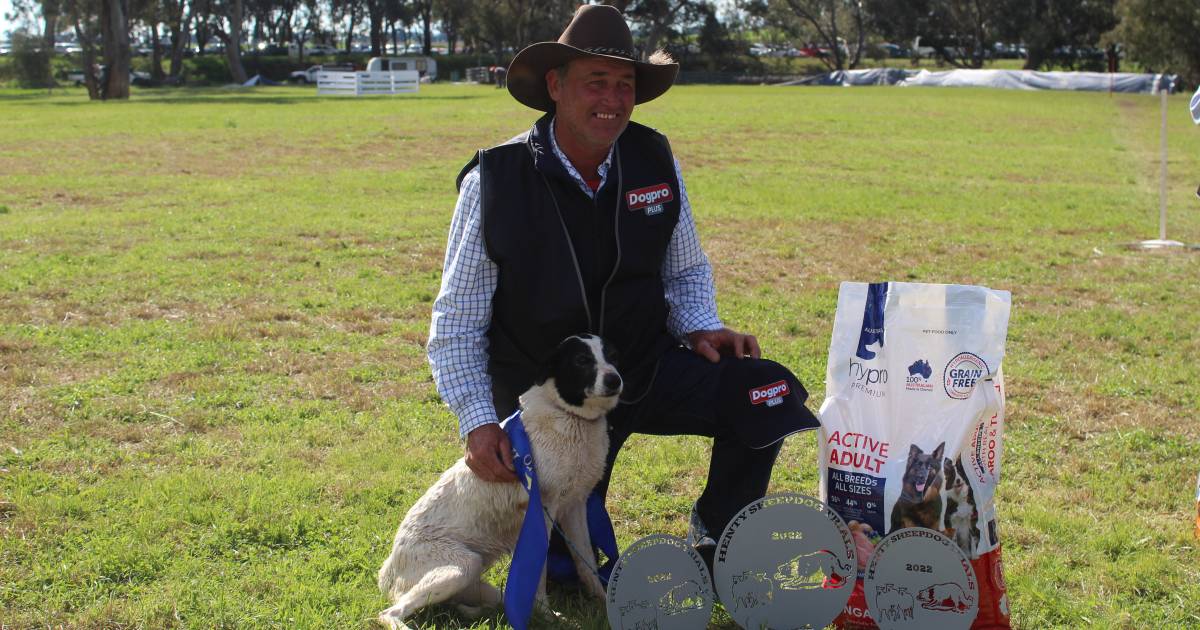 Working dogs a crowd favourite