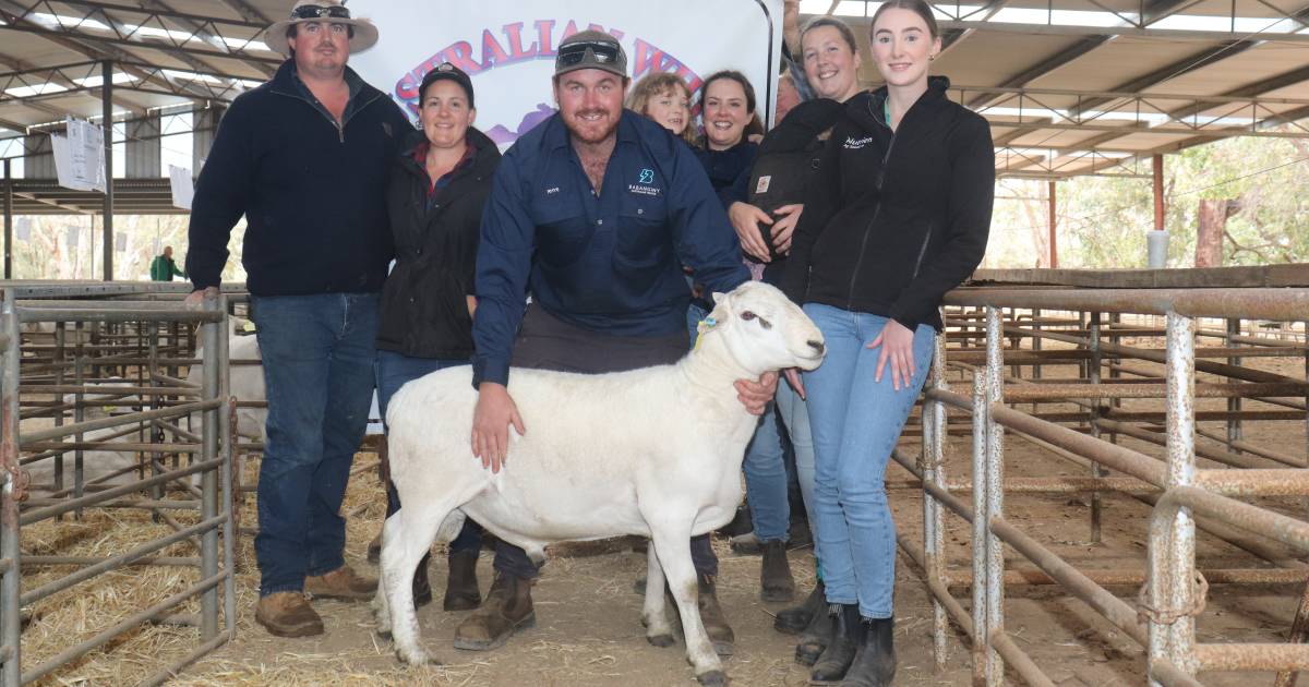 Babanginy Australian Whites sells to $4100