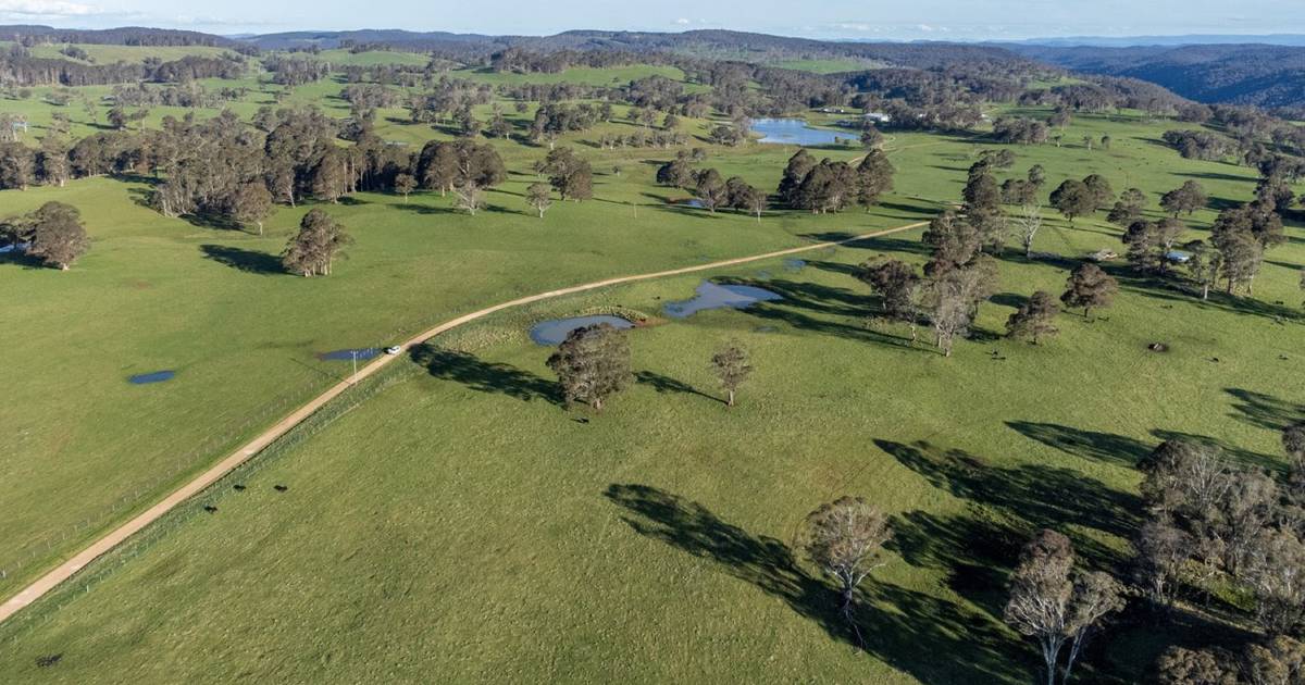 High performance pasture country hits the market