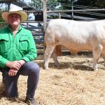 Woodyarrup Merino and Poll Merino stud, Broomehill, averages $2729 at ram sale | Farm Weekly