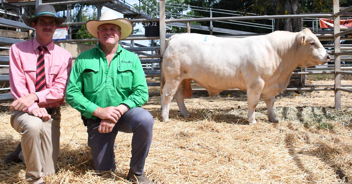 It was a buyers market at the annual Glenlea Beef Clermont bull sale