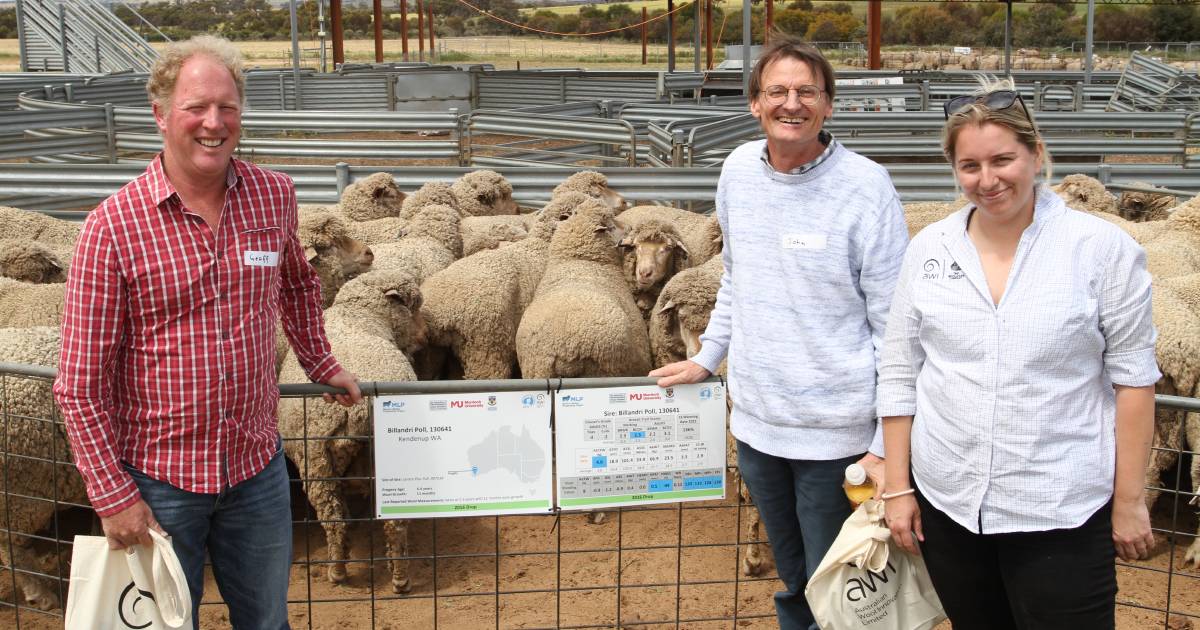 Crowd turns out for Pingelly field day