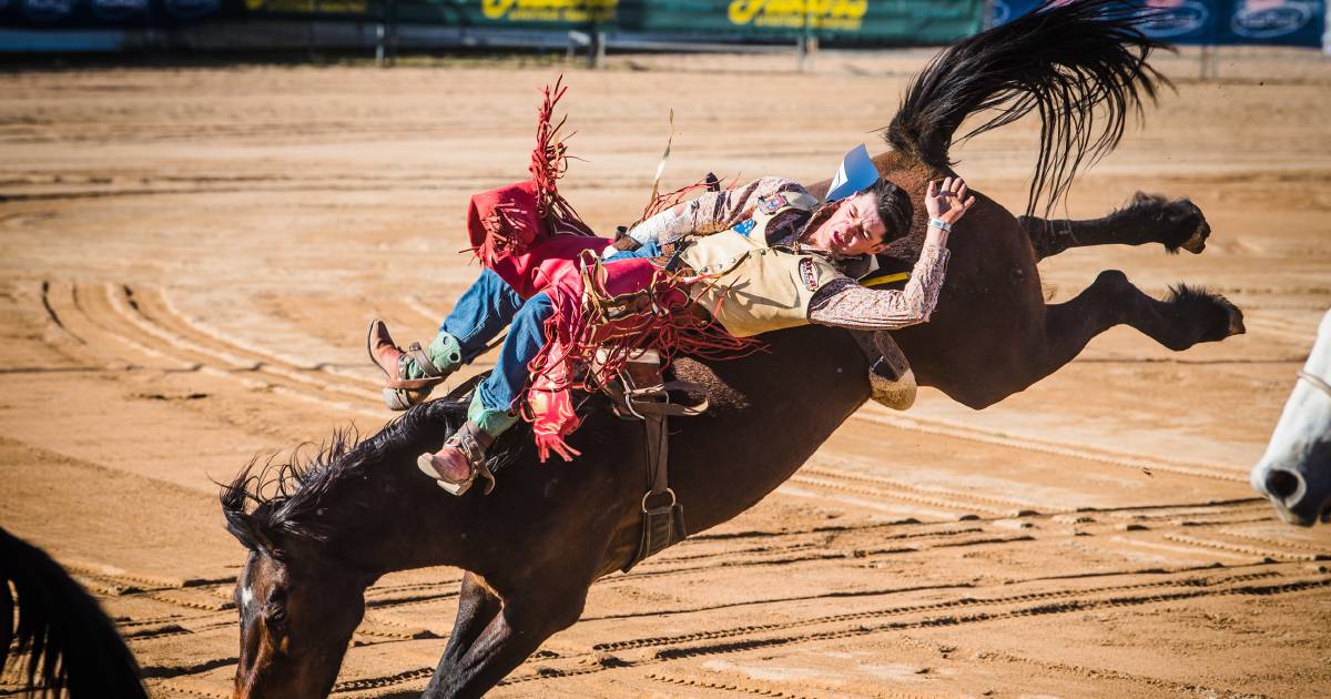 Top rodeo competitors head to Warwick | Queensland Country Life