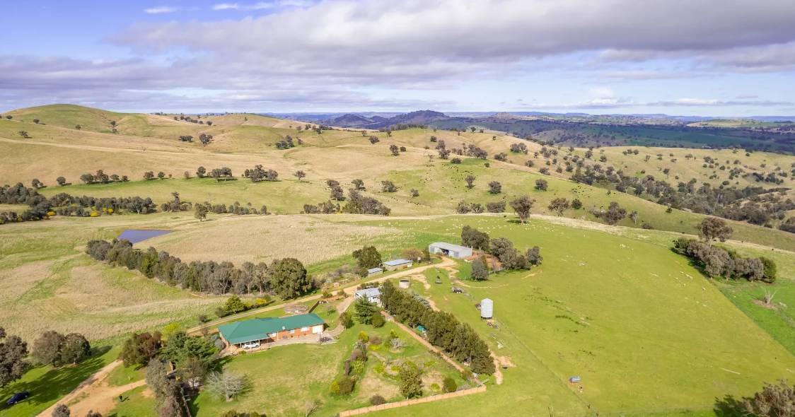 Prime red basalt farming and grazing sold at auction | Video