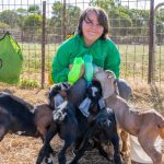 CQ growers hanging on as heavy rain drenches crops | Queensland Country Life