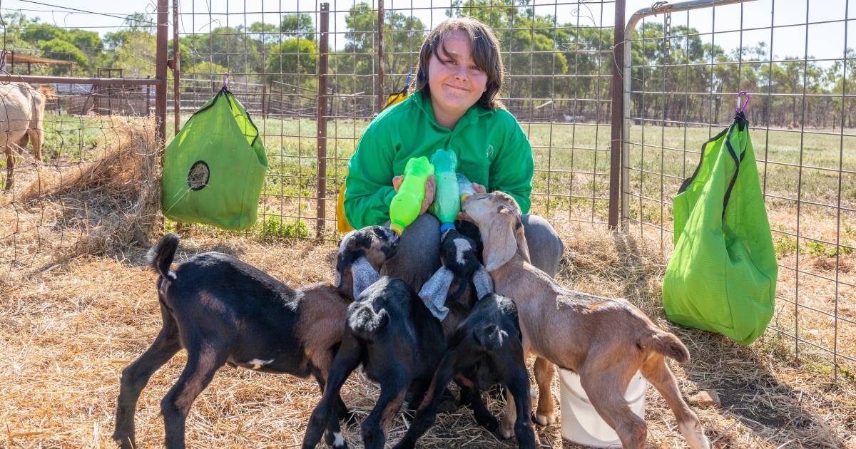 Meet the Charters Towers youngster passionate about goats and documentary filmmaking