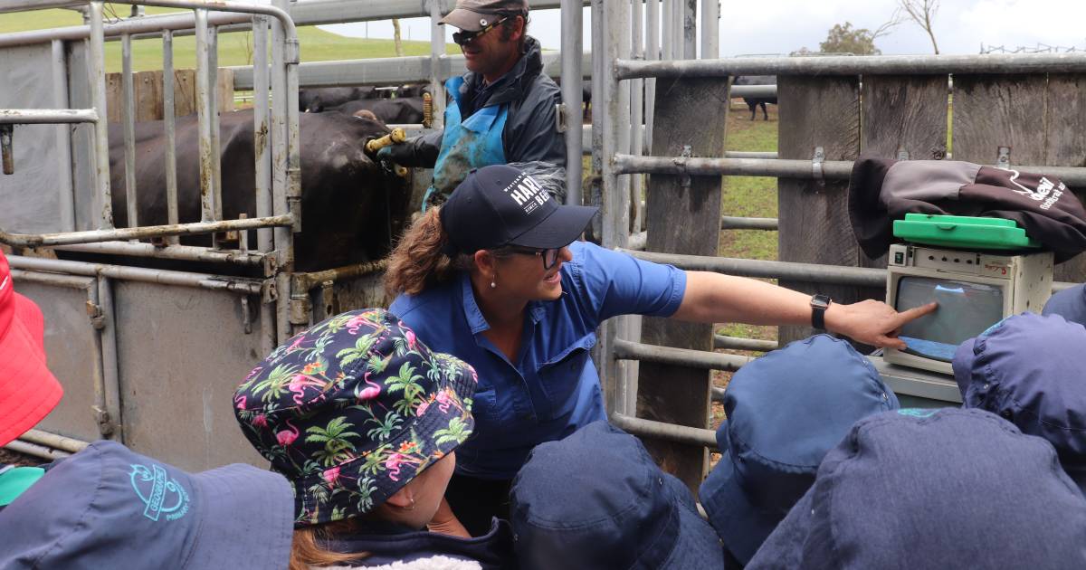 Children discover the world of agriculture