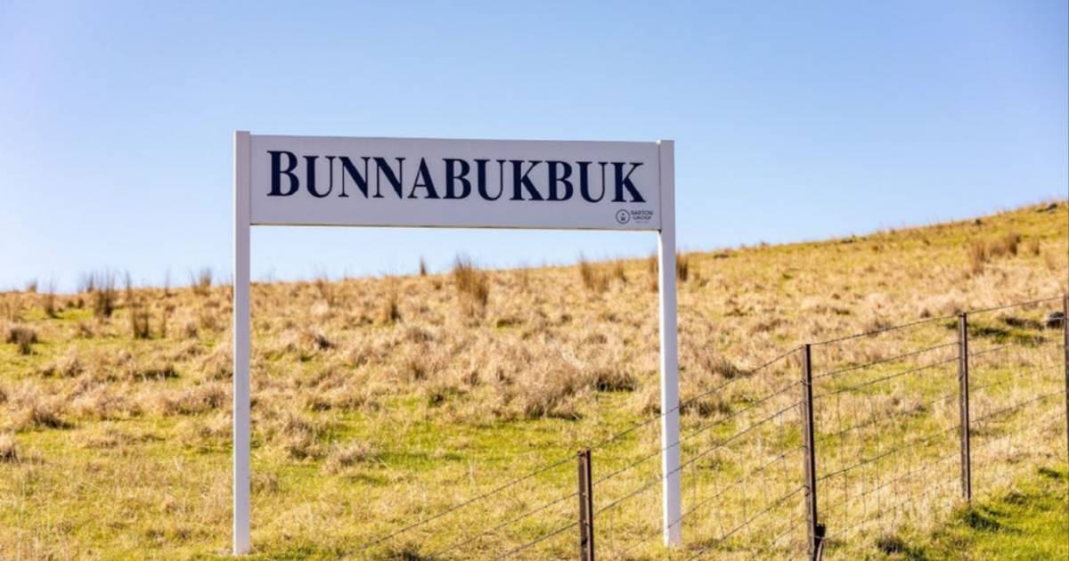 Litchfields secure high rainfall Bunnabukbuk at auction | Video