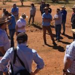 Qld growers share their love of farming with green and gold 'classroom'