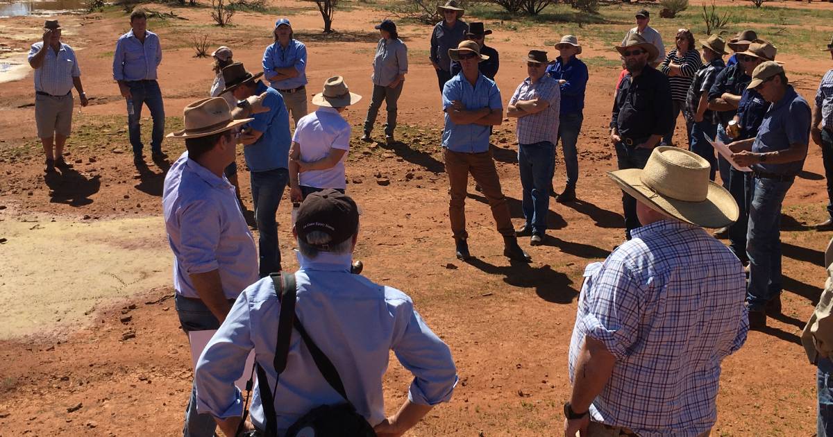 Southern Rangelands Pastoral Alliance (SRPA) to host forum and annual general meeting on October 24 | Farm Weekly