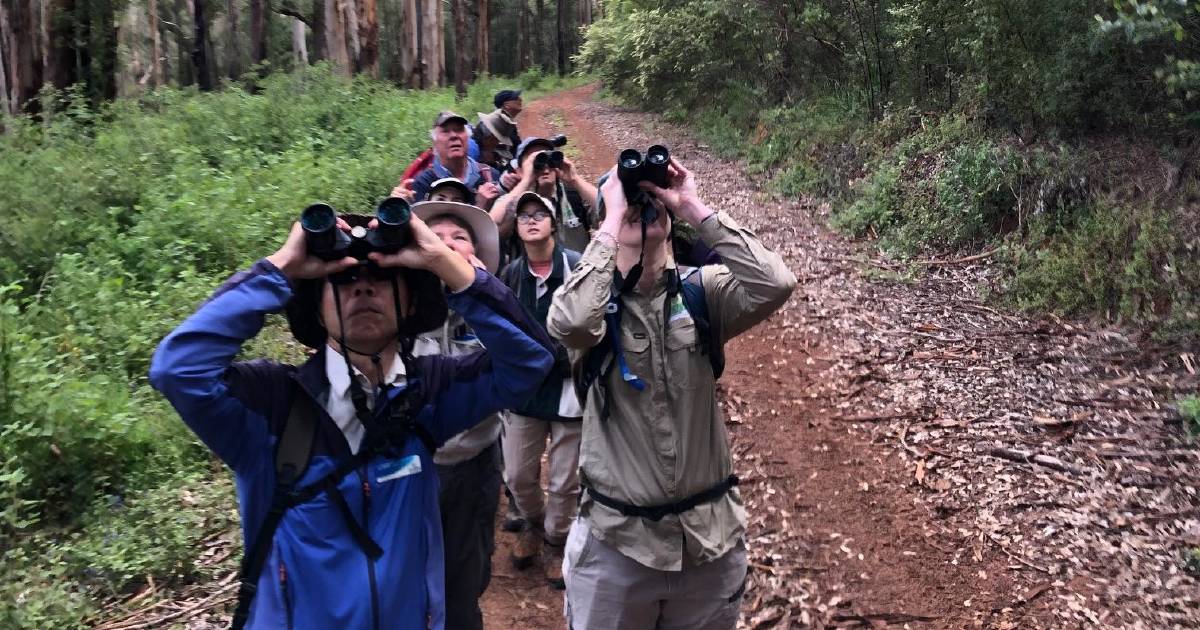 BioBlitz identifies 400 species at Walpole