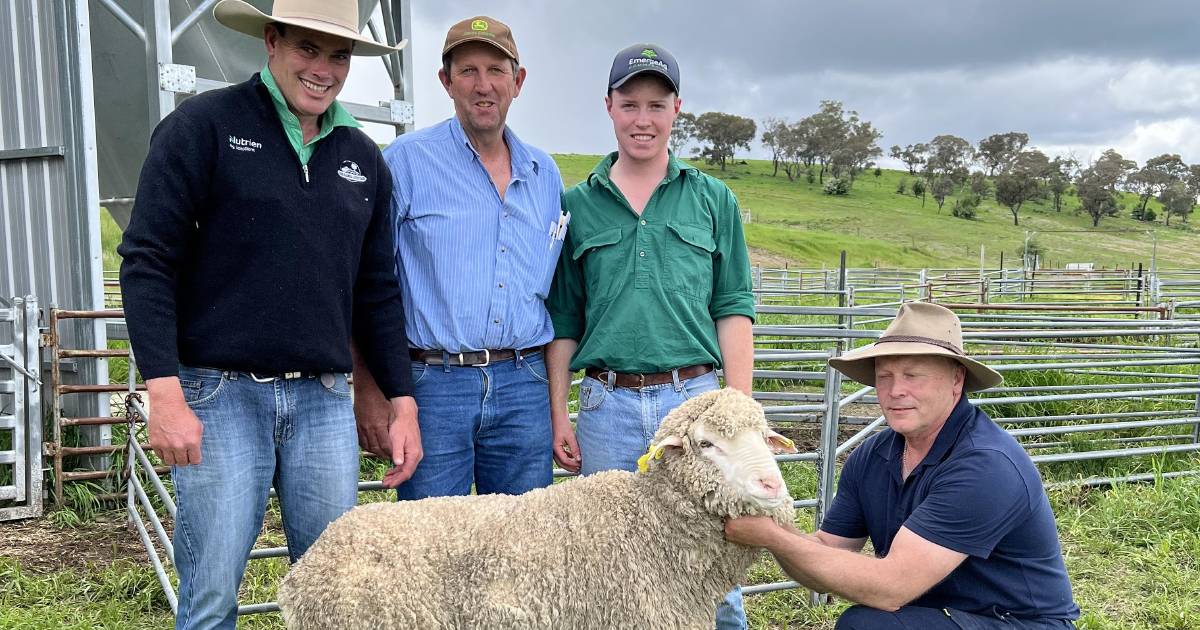 Fosterfield ram sale delivers record average