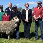 Tablelands stud tops Rockhampton Brangus female sale