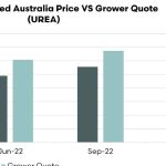 Simmental cows and calves sell to $4250/unit at Toogoolawah | Queensland Country Life