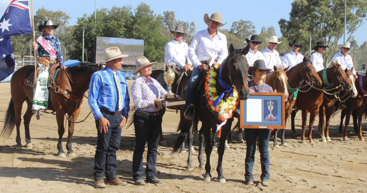 Warwick Rodeo to go ahead without the campdraft | Queensland Country Life