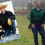 Queensland daylight savings: confusing the curtains and fading the cows | Queensland Country Life