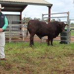 Inside the beef operation run on an island