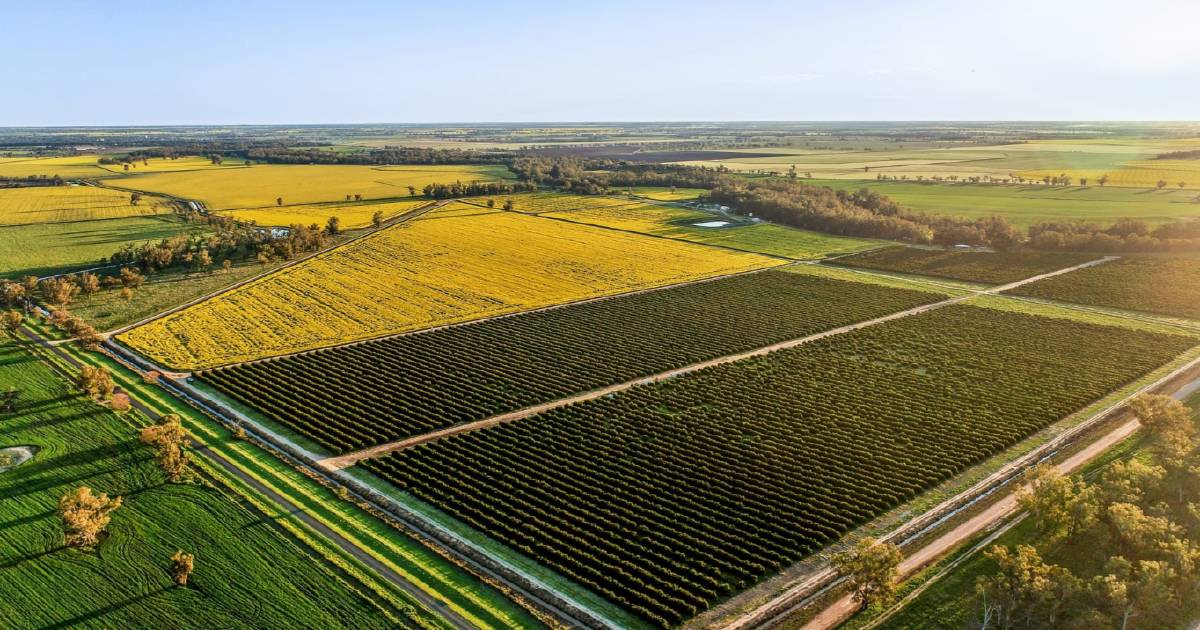 Narromine property sold at auction