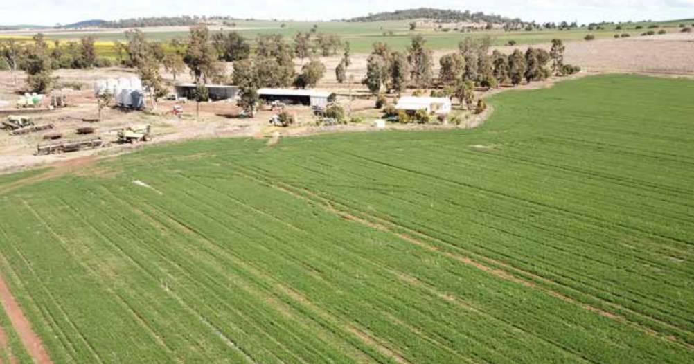 Namoi Valley's Elken Downs sold at auction | Video