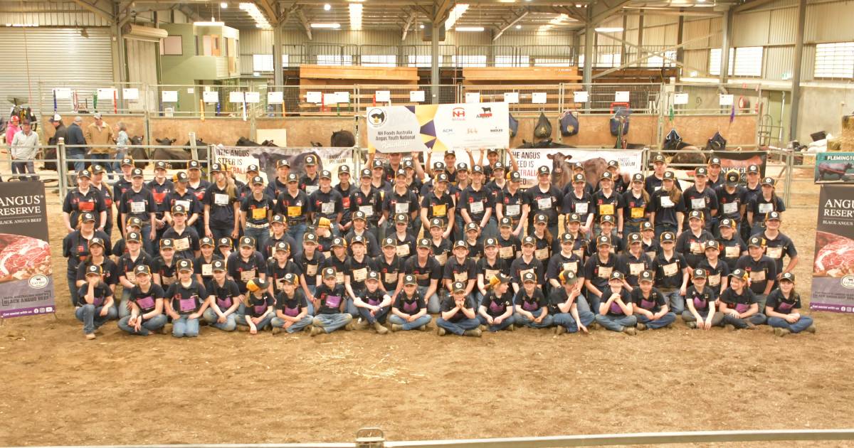 NH Foods Angus Youth Roundup results wrapped up