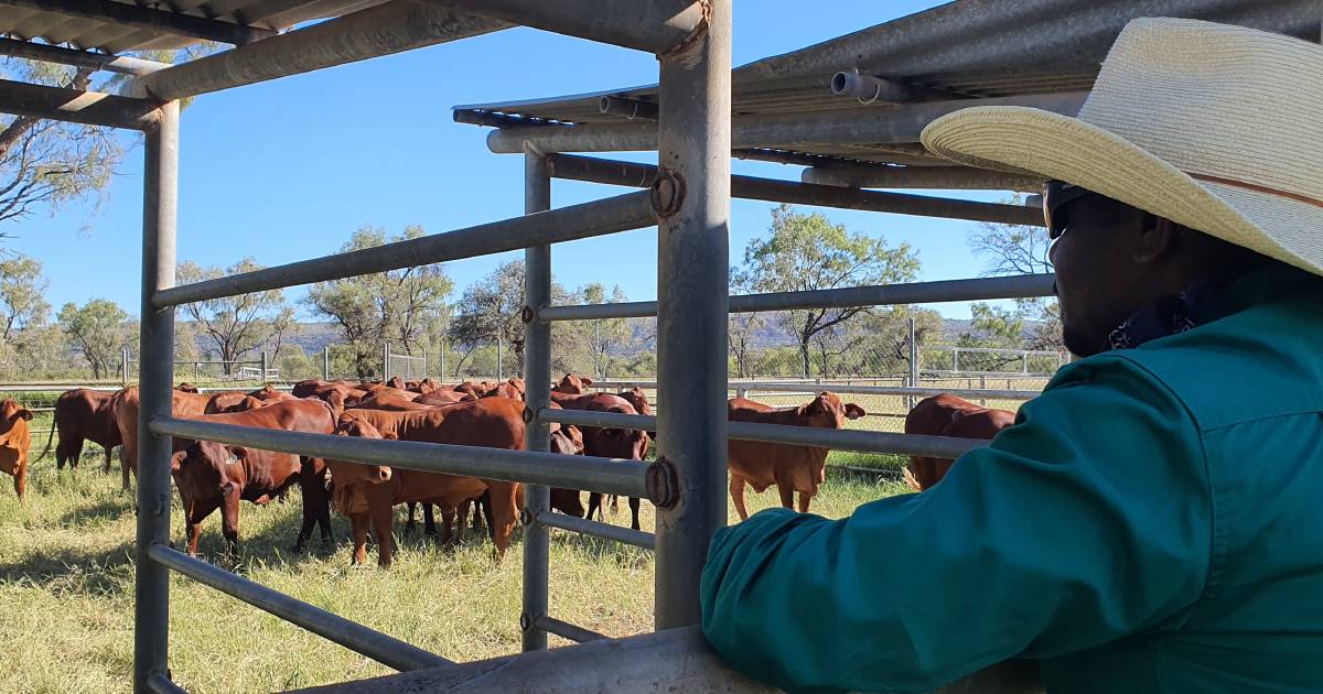 Agriculture students encouraged to apply for scholarship