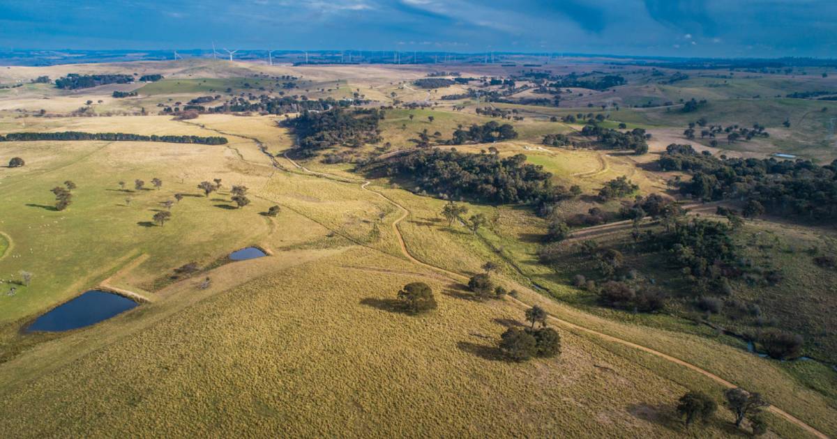 Wind farm, grazing country sold immediately after auction | Video