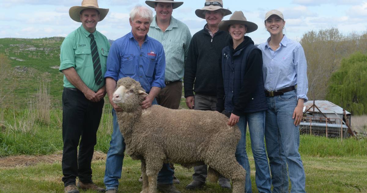 Strong presence from repeat buyers at Tallawong Merino's 18th On Property Sale