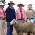 Fosterfield ram sale delivers record average