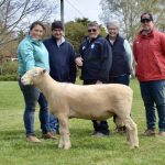 Solid result at Artesian Droughtmaster sale