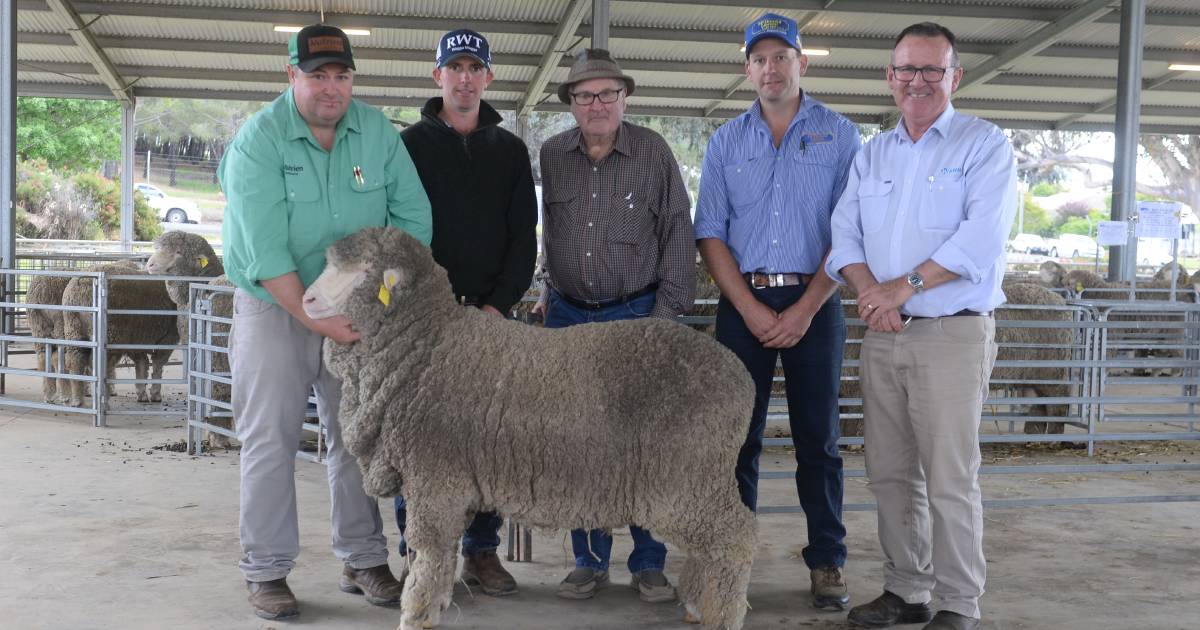 Strong repeat buyer support at 7th Annual Laraben Poll Merino sale