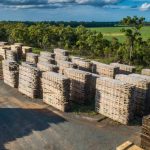 Former Terrick Terrick Merino Stud manager Peter Harvey passed away | Queensland Country Life