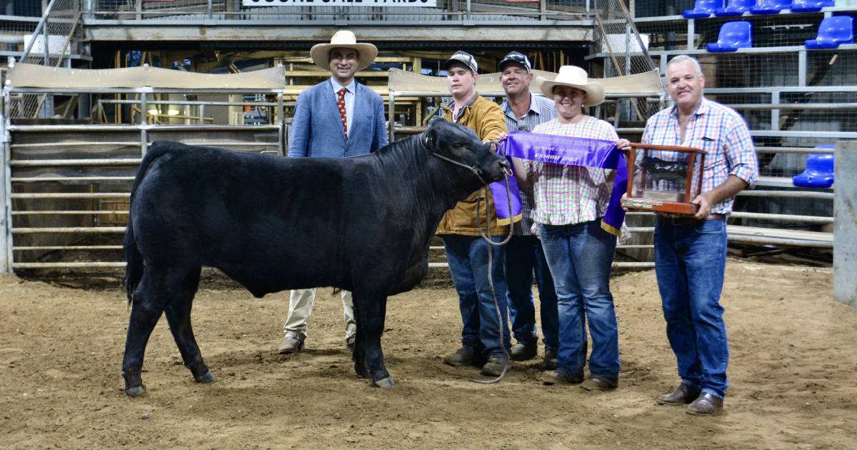 Limousin steer from NSW/SA partnership wins Upper Hunter Beef Bonanza