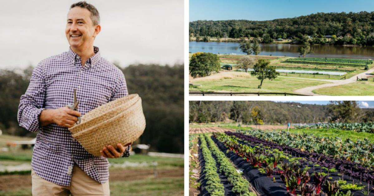 Farm gate to plate: Stix on the Hawkesbury grows produce for top chefs