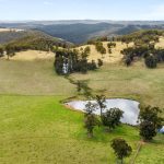 Qulality weaners in demand at Biggenden