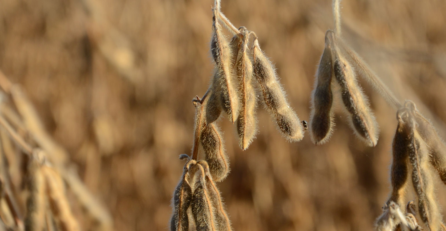 Farm Progress America, October 4, 2022