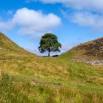 A spectacular, remote Scottish island property that could pay for itself